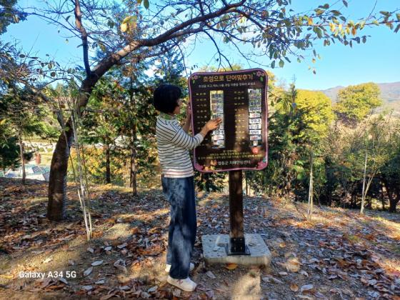 영동군, 용두1공원 산책로 인지활동 교구 보수 완료 이미지