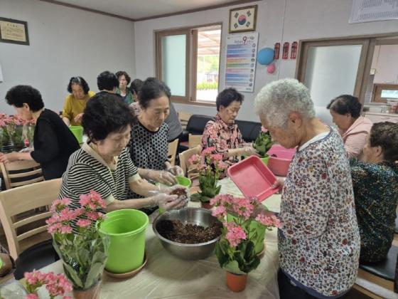 대한노인회 영동군지회, 경로당 원예 활동교실 성공적 마무리 이미지