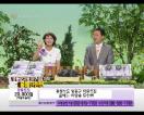 영동포도 홈쇼핑 나들이 대성공 이미지