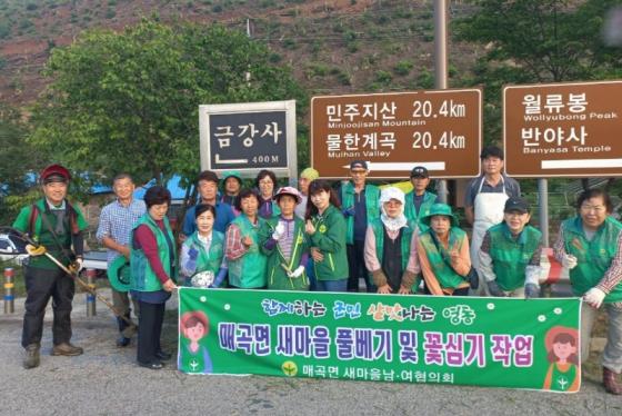 매곡면 새마을협의회, 매곡면 강진저수지 일대 제초작업 추진 이미지