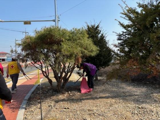 양강면 주민자치위원회, 하천변 환경정화 활동 추진 이미지