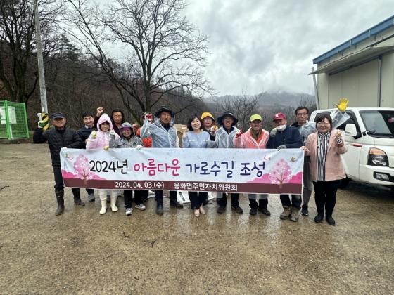 용화면 주민자치위원회, 아름다운 가로수길 조성 이미지