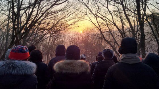 매곡면, 2024갑진년 새해의 희망을 기원하는 해맞이 행사 열려 이미지