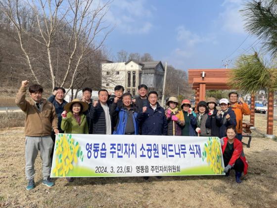 영동읍 주민자치위원회, 삼색버드나무 묘목 식재 실시 이미지