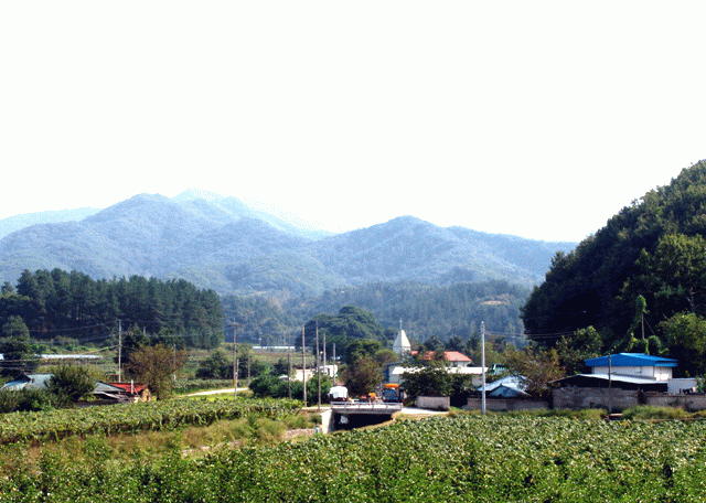 서송원리 마을전경 입니다. 이미지