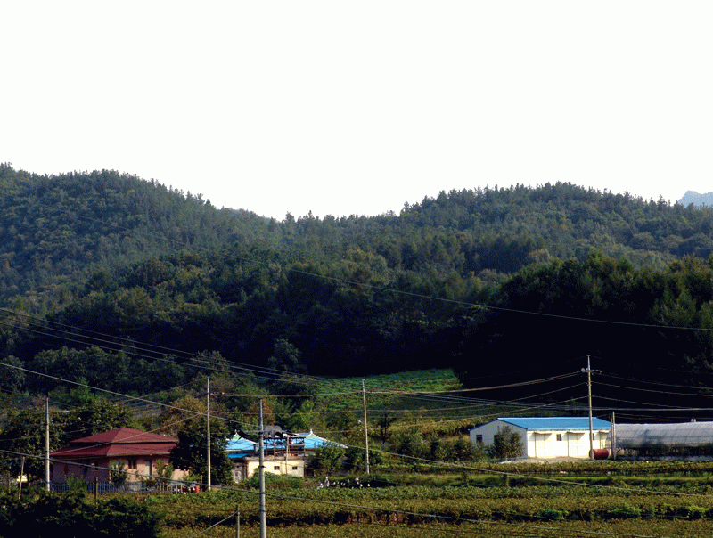 마을전경 모습입니다. 이미지