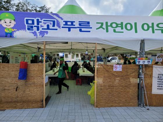 양산면 새마을 향토 야시장 (제53회 난계 국악축제 및 제11회 대한민국 와인축제 ) 이미지