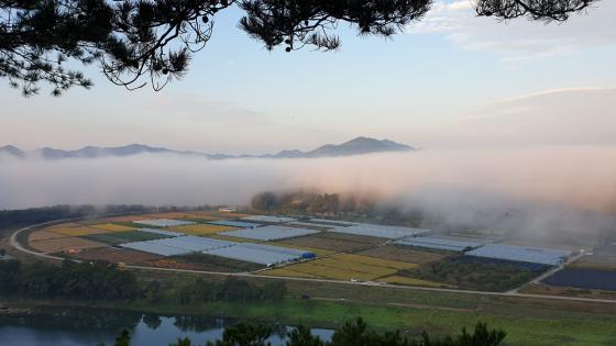 양산면 풍경사진 (자풍당에서 바라본 비봉산 등) 이미지