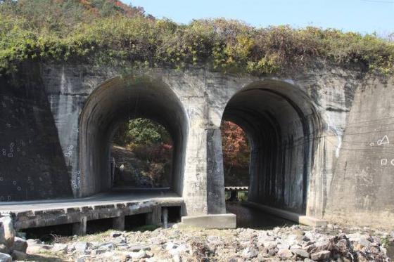 노근리 학살, 여전히 더 밝혀져야 할 그날의 진실-오마이 뉴스( 2021... 이미지