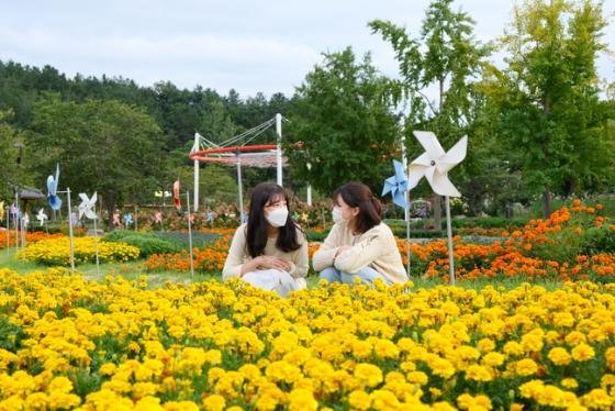 가을빛 물든 '노근리평화공원'-충북일보 22.09.27 이미지