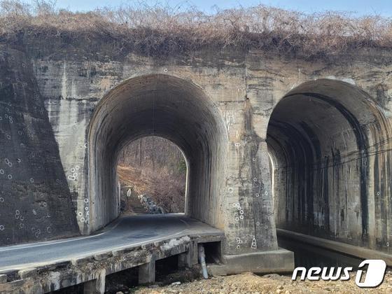 양민학살 현장 '노근리 쌍굴다리' 보존방안 찾았다-2021/07/28... 이미지