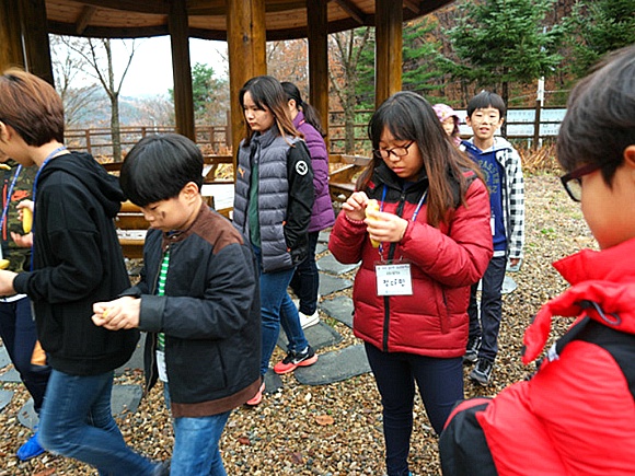 치유의 숲 프로그램 활동 이미지