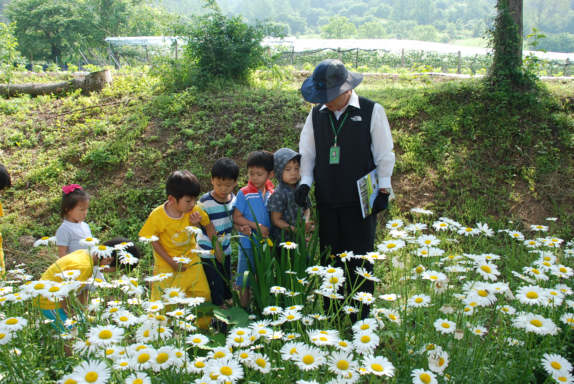 용화초 유치원생 숲 해설.. 이미지