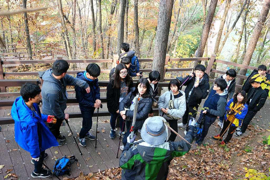 치유의 숲 프로그램 활동 이미지