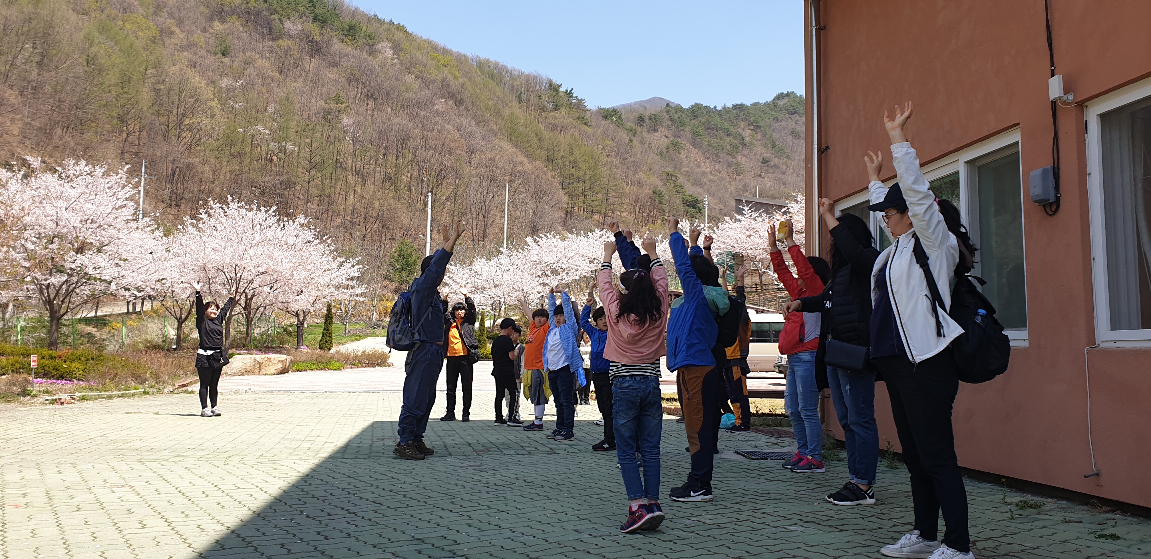 산림체조 스트레칭 이미지