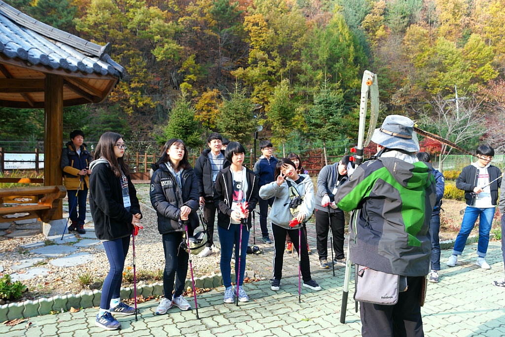 치유의 숲 프로그램 활동 이미지