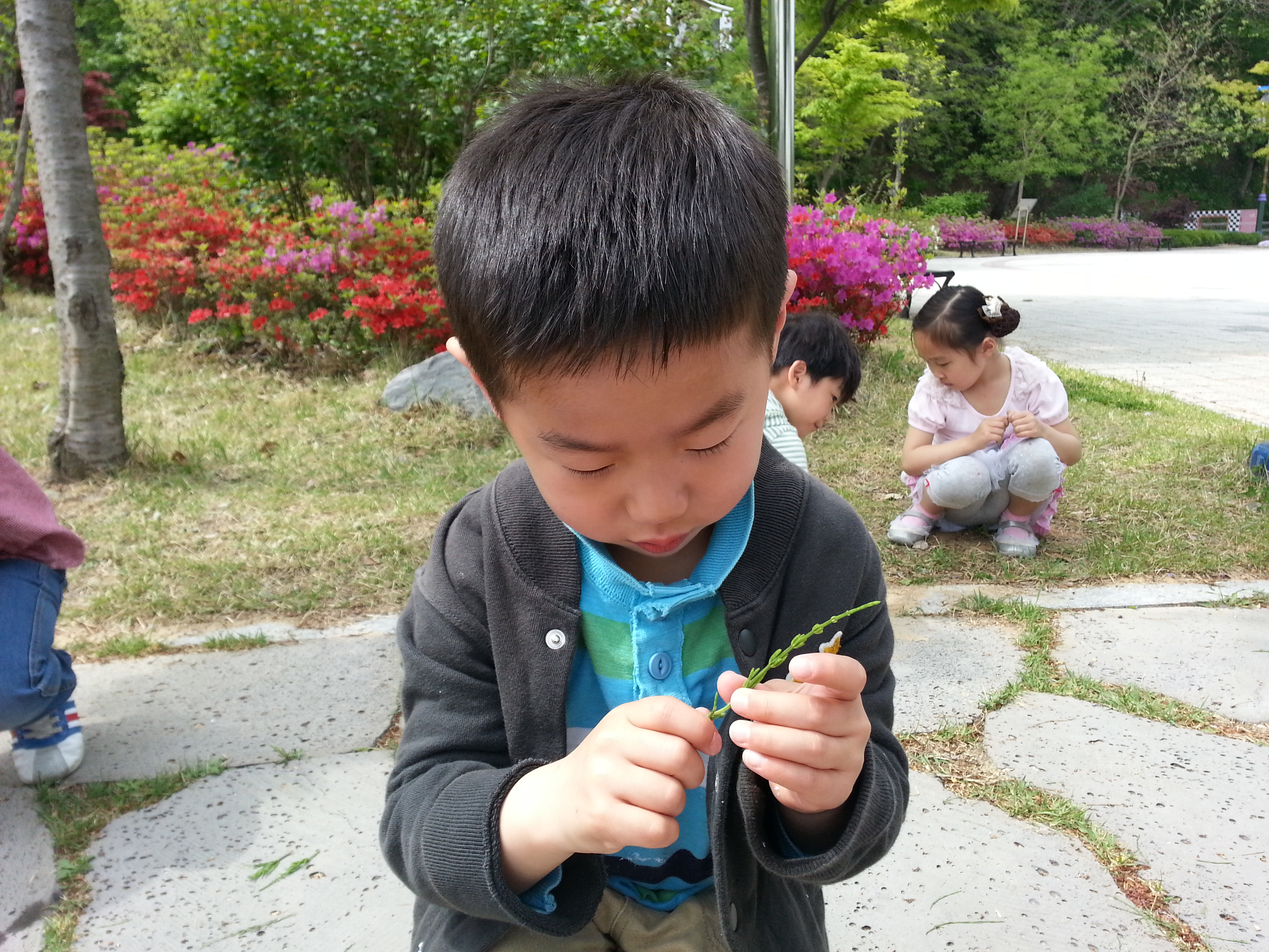 부용초등학교병설유치원 숲해설 이미지