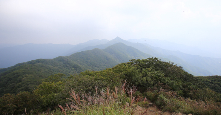 사진14/민주지산 정상에서 바라본 석기봉. 뾰족하게 솟아있는 산이 석기봉이다.