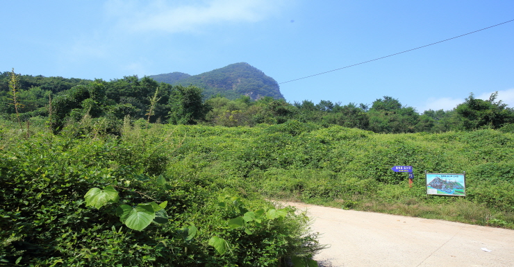 사진3/산행 안내도와 이정표가 있는 메넥스 황간공장 담장 끝 삼거리. 숲 너머로 우뚝 솟아 있는 산이 월류봉이다.